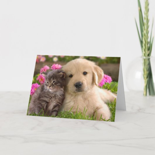 ゴールデンレトリバーの子犬と子猫の愛 カード (正面)