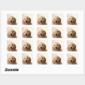 ゴールデンレトリバーの子犬 スクエアシール (シート)