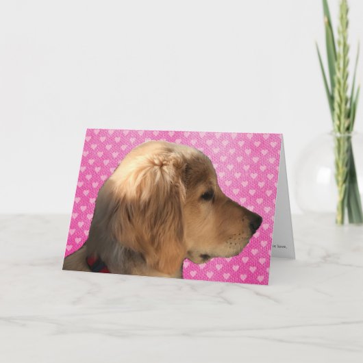 ゴールデンレトリバーの子犬 バレンタインデーのカード カード (正面)