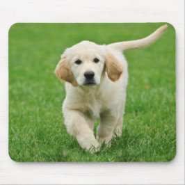 ゴールデンレトリバーの子犬 マウスパッド