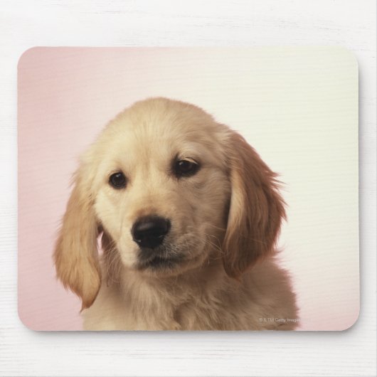 ゴールデンレトリバーの子犬 マウスパッド (正面)