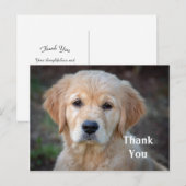 ゴールデンレトリバーの子犬 感謝の気持ちを伝えるポストカード ポストカード (正面/裏面)