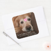 ゴールデンレトリバーの愛は単なる言葉である スクエアシール (封筒)