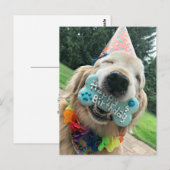 ゴールデンレトリバーの犬とおやつ　ハッピーバースデー ポストカード (正面/裏面)