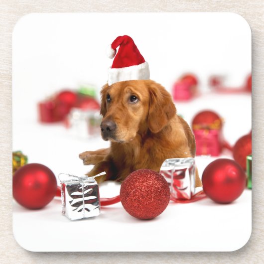 ゴールデンレトリバーの犬 赤いサンタ帽子 クリスマス コースター (正面)