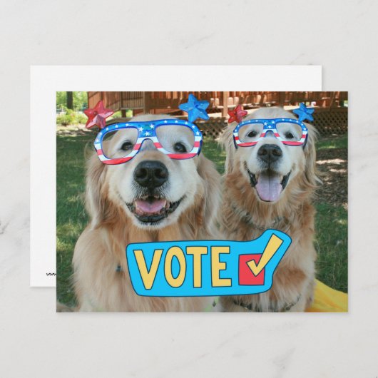 ゴールデンレトリバーの独立性の日の眼鏡投票 ポストカード (正面/裏面)