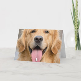 ゴールデンレトリバーの老犬 誕生日ユーモア カード