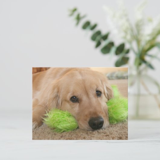 ゴールデンレトリバーはあなたが病気で回復したと聞いた ポストカード (スタンド正面)