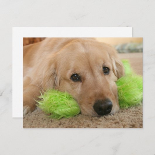 ゴールデンレトリバーはあなたが病気で回復したと聞いた ポストカード (正面/裏面)