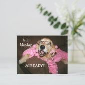 ゴールデンレトリバーはもう月曜日だ ポストカード (スタンド正面)