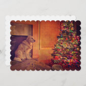 ゴールデンレトリバーは暖炉で待つ (正面/裏面)