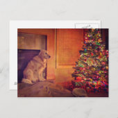 ゴールデンレトリバーは暖炉で待つ ポストカード (正面/裏面)