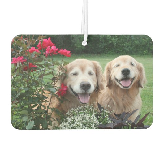 ゴールデンレトリバーを外で笑うバラ カーエアーフレッシュナー (裏面)