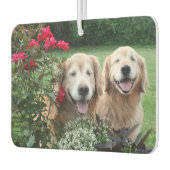 ゴールデンレトリバーを外で笑うバラ カーエアーフレッシュナー (左)