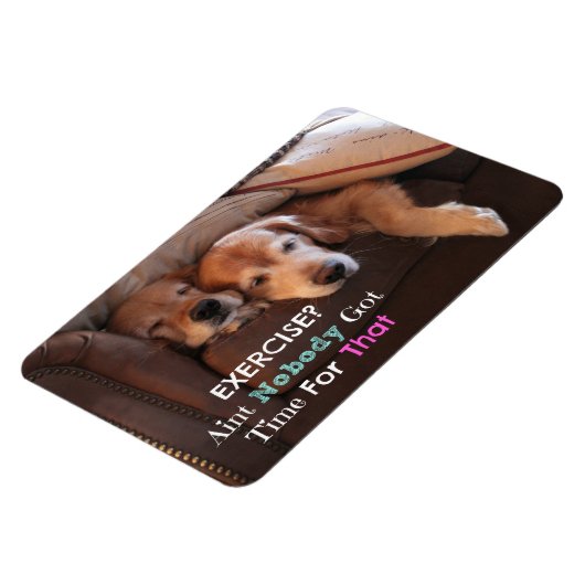 ゴールデンレトリバーエクササイズ民主化 マグネット (左側)