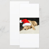 ゴールデンレトリバークリスマスパピー (正面/裏面)