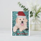 ゴールデンレトリバークリスマスパピー シーズンポストカード (スタンド正面)