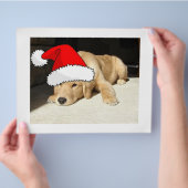 ゴールデンレトリバークリスマスパピー チラシ (手)