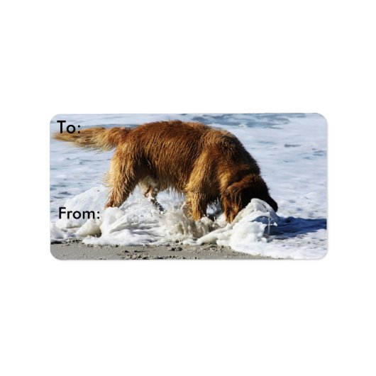 ゴールデンレトリバーストップ全員!私失ったの連絡 ラベル (正面)