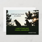 ゴールデンレトリバースピリチュアルペット引用文 ポストカード (正面/裏面)