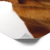 ゴールデンレトリバースマイル ポスター (角)