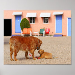 ゴールデンレトリバーズアットザブルースワローモーテル ポスター