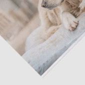 ゴールデンレトリバーティッシュペーパー 薄葉紙 (詳細)