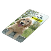 ゴールデンレトリバードウオンフェンスお前は私の太陽の光 マグネット (左側)