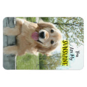 ゴールデンレトリバードウオンフェンスお前は私の太陽の光 マグネット (横)