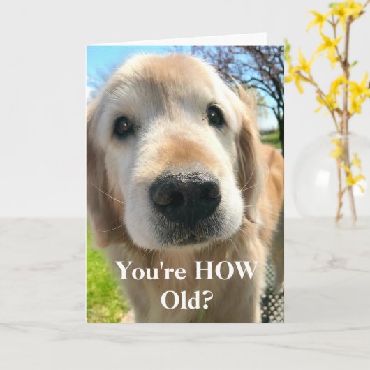 ゴールデンレトリバードッグあなたはどのように古い誕生日 カード (黄色い花)