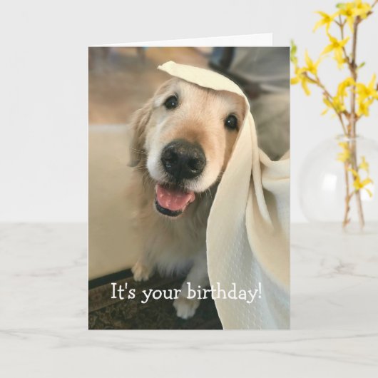 ゴールデンレトリバードッグそれがあなたの誕生日 カード (黄色い花)