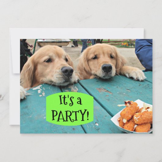 ゴールデンレトリバードッグそれはパーティの招待状 招待状 (正面)