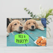 ゴールデンレトリバードッグそれはパーティの招待状 招待状 (スタンド正面)