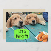 ゴールデンレトリバードッグそれはパーティの招待状 招待状 (正面/裏面)