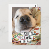 ゴールデンレトリバードッグやる気を起こさせるミーム ポストカード (正面/裏面)