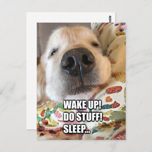 ゴールデンレトリバードッグやる気を起こさせるミーム ポストカード (正面/裏面)