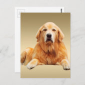 ゴールデンレトリバードッグウォーターカラーアート絵画ズ ポストカード (正面/裏面)