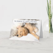 ゴールデンレトリバードッグホワイトクリスマスカード シーズンカード (正面)