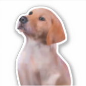 ゴールデンレトリバードッグ シール (正面)