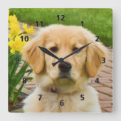 ゴールデンレトリバードッグ スクエア壁時計 (正面)