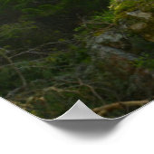 ゴールデンレトリバードッグ |松の森 ポスター (角)