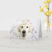 ゴールデンレトリバーハッピーバースデーグリーティングカード カード (黄色い花)