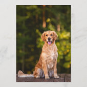 ゴールデンレトリバーバー メニュー (裏面)