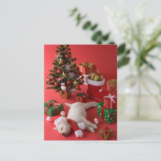 ゴールデンレトリバーパピーとクリスマス シーズンポストカード (スタンド正面)