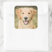ゴールデンレトリバーパピーのポートレート スクエアシール (バッグ)