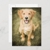 ゴールデンレトリバーパピーのポートレート ポストカード (正面/裏面)