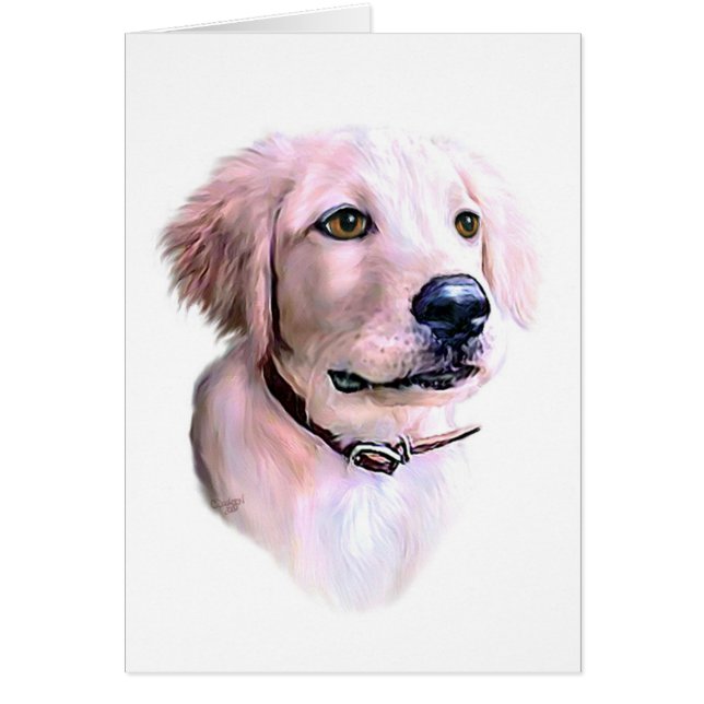 ゴールデンレトリバーパピー (正面)