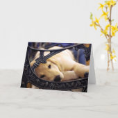 ゴールデンレトリバーパピー カード (黄色い花)