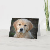ゴールデンレトリバーパピー カード (正面)