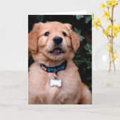 ゴールデンレトリバーパピー カード (黄色い花)